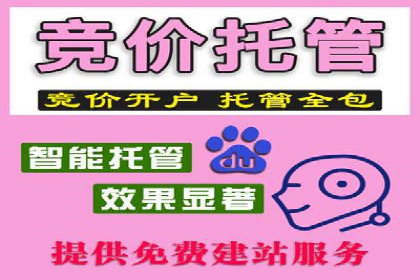 谷歌SEM操作技巧：案例解析与优化